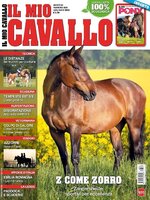 Il mio Cavallo